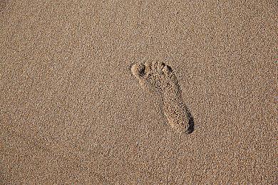 加州通过新法 强迫商店承认玩家不拥有数字游戏